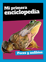 Discovery - Mi Primera Enciclopedia